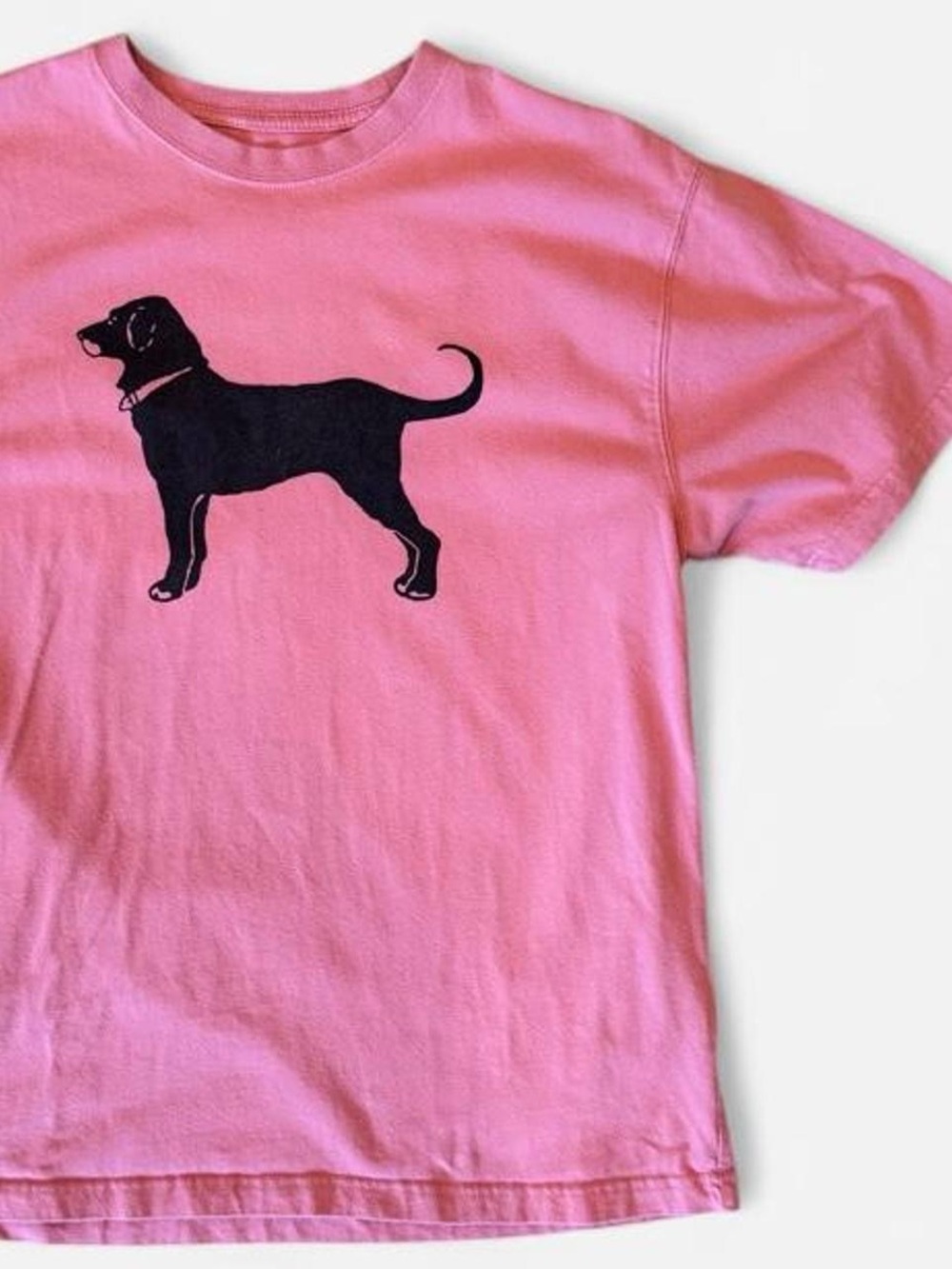 The Black Dog 2020 Classic Collection Nantucket Red Heavyweight Tee | S